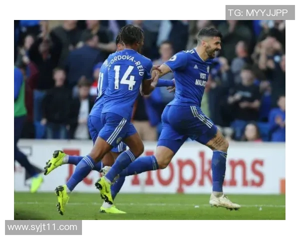 诺维奇对雷丁比赛前瞻分析及胜负预测详解