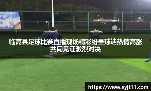 临高县足球比赛直播现场精彩纷呈球迷热情高涨共同见证激烈对决