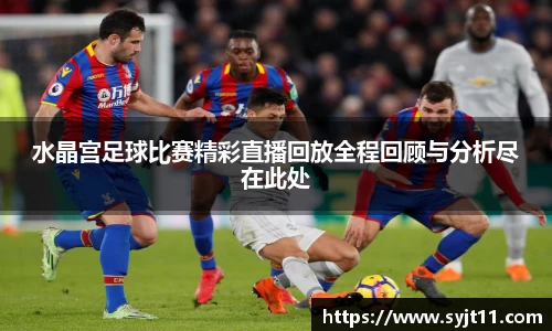 水晶宫足球比赛精彩直播回放全程回顾与分析尽在此处
